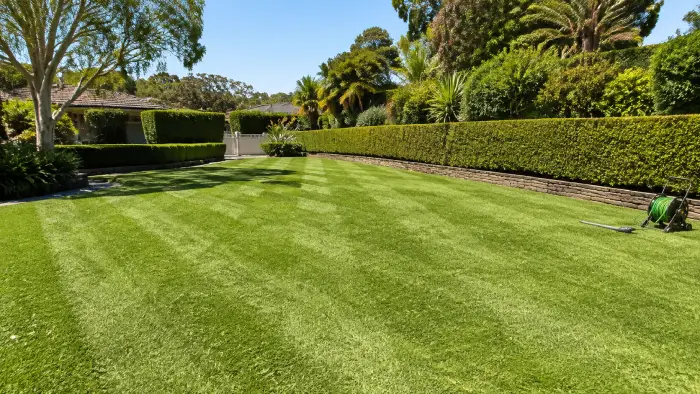 Landscaping Services